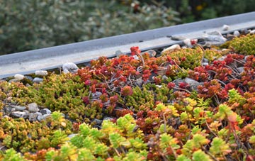 the cost of Castlecraig green roof installation